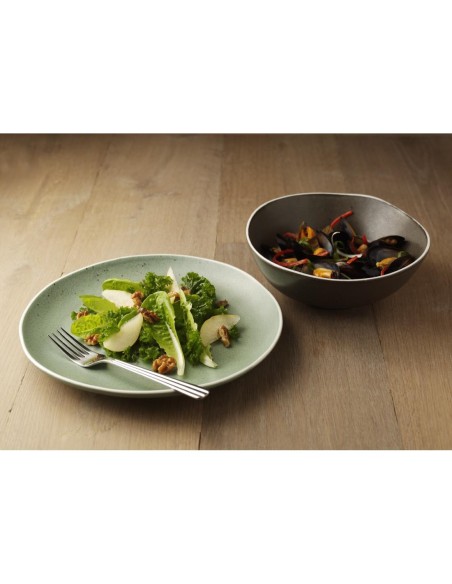 Saladiers Chia Olympia gris 210mm - lot de 6