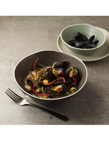 Saladiers Chia Olympia gris 210mm - lot de 6