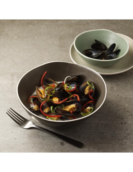 Saladiers Chia Olympia gris 210mm - lot de 6