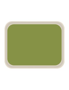 Plateau de service polyester Vert Roltex America 460x360 mm