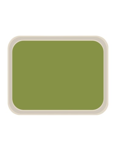 Plateau de service polyester Vert Roltex America 460x360 mm