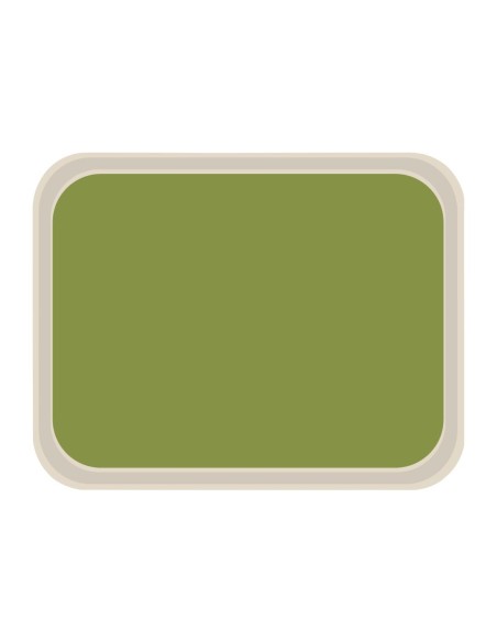Plateau de service polyester Vert Roltex America 460x360 mm