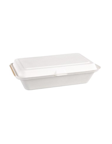 Barquettes à charnière compostables Fiesta 24,8 cm - Lot 250
