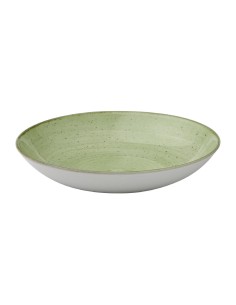 Bols Churchill Stonecast Sage Green 248mm - Lot de 12 2