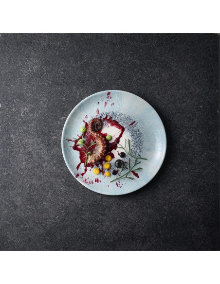 Assiettes Churchill Fusion Blue 260mm - Lot de 12
