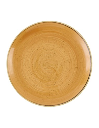 Assiettes Stonecast Churchill 288 mm - Lot de 12