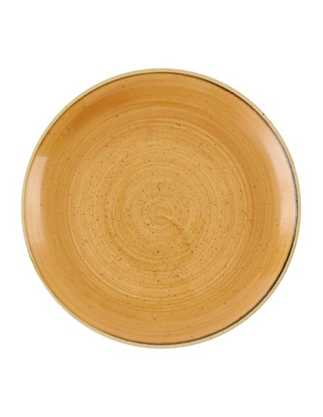 Assiettes Stonecast Churchill 288 mm - Lot de 12