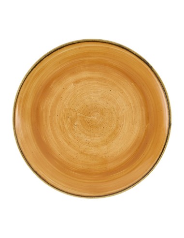 Assiettes Stonecast Tangerine 260 mm - Lot de 12
