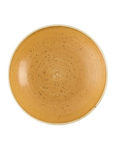 Bols Churchill Stonecast Tangerine 182mm - Lot de 12