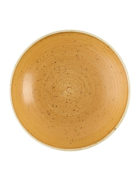 Bols Churchill Stonecast Tangerine 182mm - Lot de 12