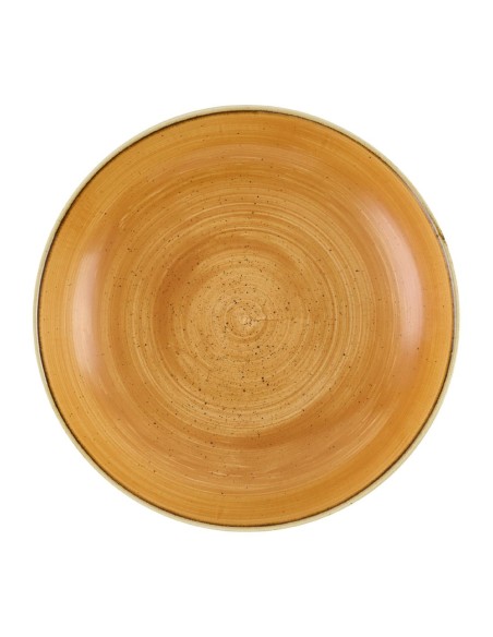 Bols Churchill Stonecast Tangerine 248mm - Lot de 12