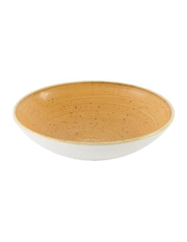 Bols Churchill Stonecast Tangerine 182mm - Lot de 12