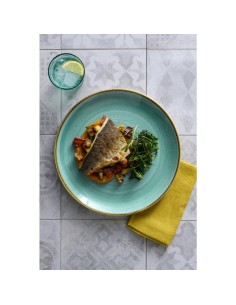Assiettes Churchill Stonecast Mint 217mm - Lot de 12 2