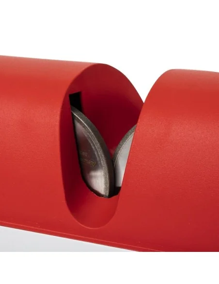 Aiguiseur électrique RS75 Dick