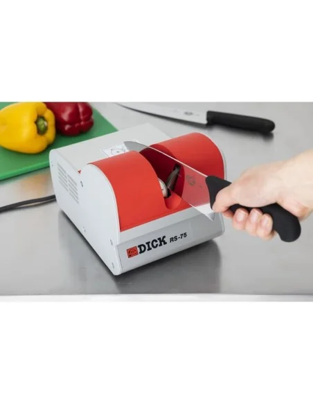 Aiguiseur électrique RS75 Dick