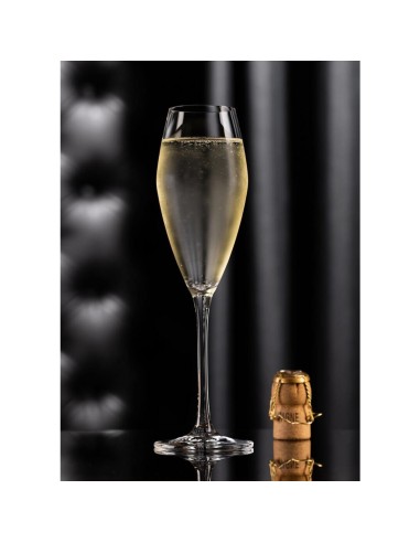 Flûtes à Seine Utopia 260 ml - lot de 6