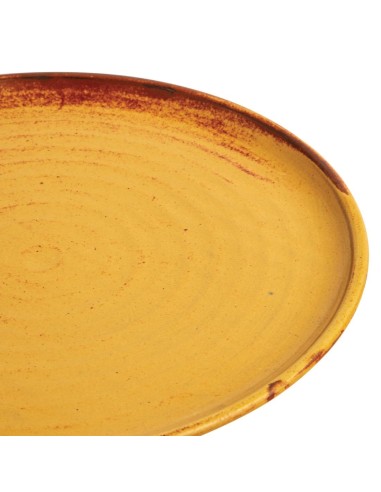 Assiettes plates terre de sienne Olympia Canvas 265mm - lot de 6