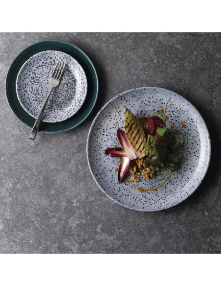 Assiettes coupes Churchill Stonecast Patina Rustic Teal 248mm - Lot de 12