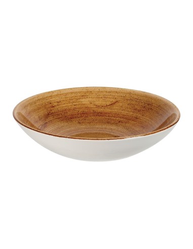 Assiettes coupe Churchill Stonecast Patina 182mm - Lot de 12