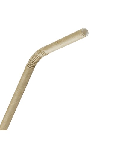 Pailles en papier compostables Fiesta Kraft 210 mm - Lot 250