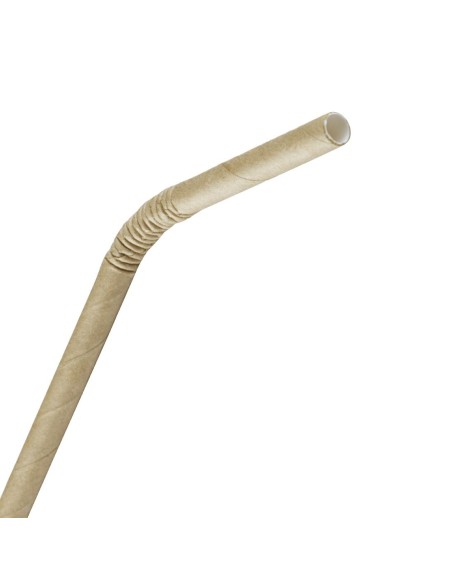 Pailles en papier compostables Fiesta Kraft 210 mm - Lot 250