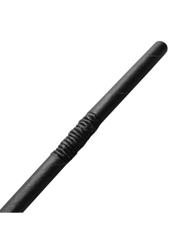 Pailles en papier compostables noires Fiesta - lot de 250