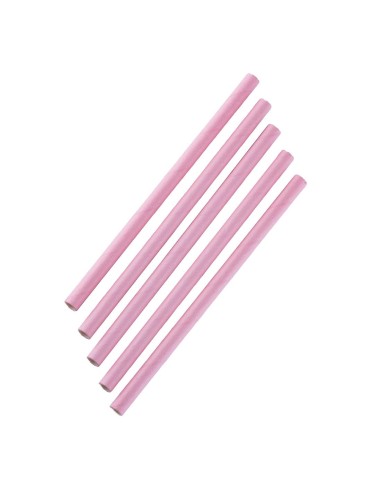 Pailles à smoothie compostables Fiesta Rose 210mm - lot de 250
