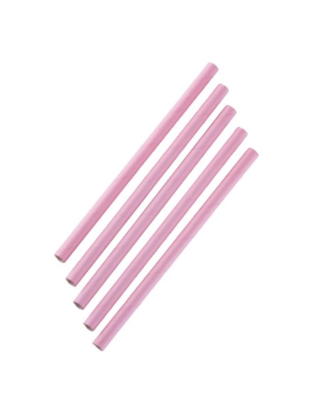 Pailles à smoothie compostables Fiesta Rose 210mm - lot de 250