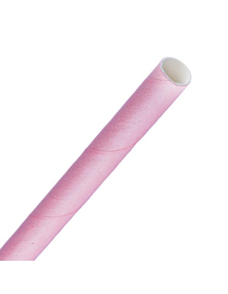 Pailles à smoothie compostables Fiesta Rose 210mm - lot de 250