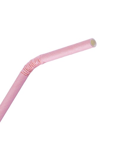 Pailles en papier compostables Fiesta Rose - Lot de 250