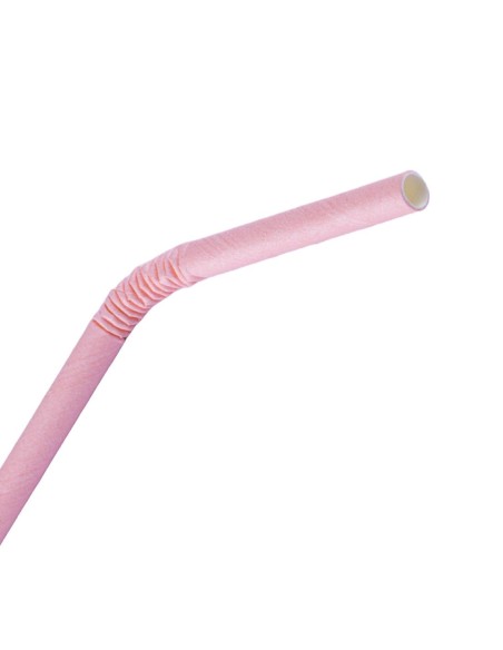 Pailles en papier compostables Fiesta Rose - Lot de 250
