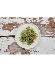 Assiette Plate Vert Printanier Olympia Cavolo 27 cm - Lot de 4 2