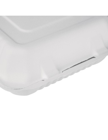 Boîtes à couvercle charnière en bagasse 223 mm - Lot de 200