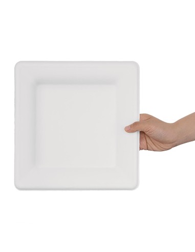 Assiettes carrées en bagasse Fiesta Compostable 261mm - lot de 50