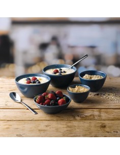 Bols à soupe Churchill Nourish Oslo Blue 240ml - lot de 12 2