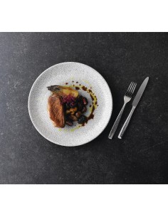 Assiettes rondes Churchill Raku Jasper Grey 217mm - lot de 12 2