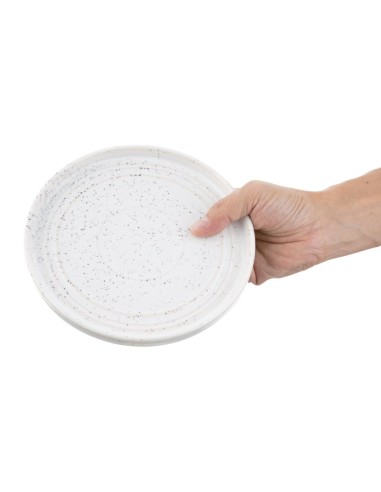 Assiettes plates Olympia Cavolo 180 mm - lot de 6