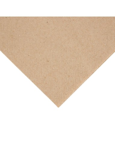 Serviettes cocktail 2 plis 1/4 - Fiesta Recyclable 240mm