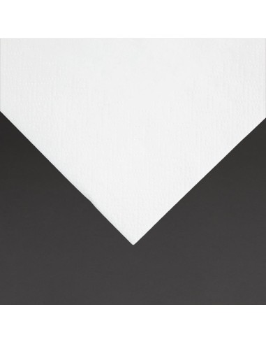 Serviettes cocktail 2 plis 1/4 pli 240mm - 4000 pcs