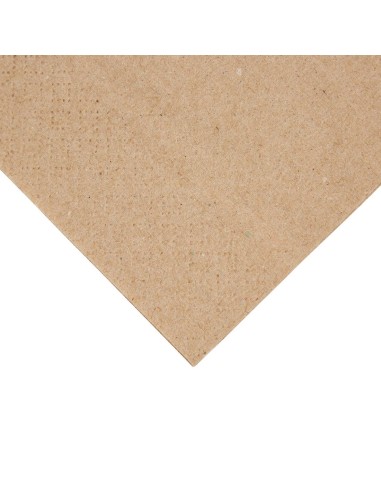 Serviettes snacking 2 plis 1/8 Fiesta Recyclable - lot 2000