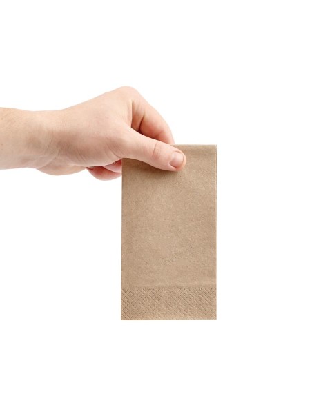 Serviettes snacking 2 plis 1/8 Fiesta Recyclable - lot 2000