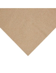 Serviettes snacking 2 plis 330mm kraft - Lot 2000 | Fiesta Recyclable 2