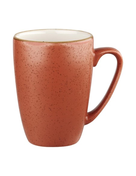 Mugs Churchill Stonecast Spiced Orange 340ml - lot de 12
