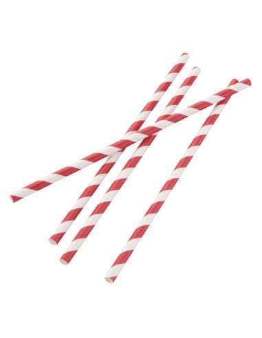 Pailles compostables en papier Fiesta - lot de 250
