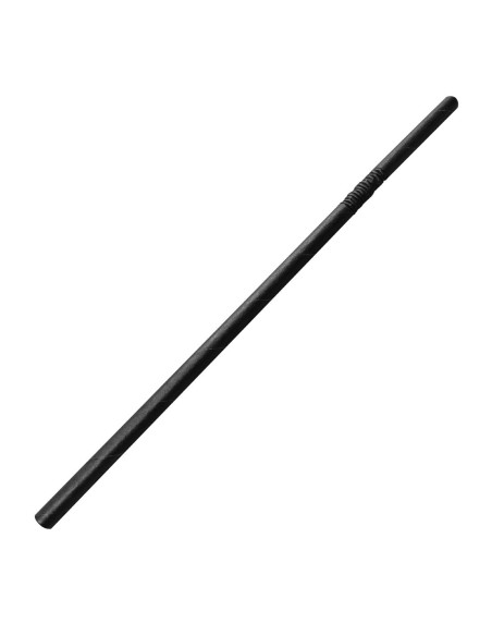 Pailles compostables noires Fiesta - lot de 250