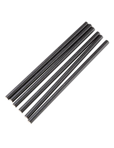 Pailles compostables noires Fiesta - Lot 250