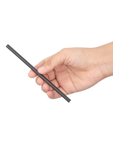 Pailles compostables noires Fiesta - Lot 250