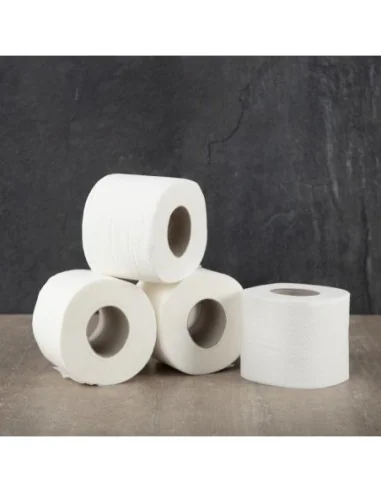 Rouleau de papier toilette 2 plis Jantex (Lot de 36)