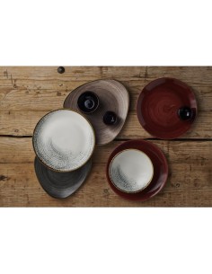 Assiettes Churchill Stonecast Red Rust 260mm - Lot de 12 2