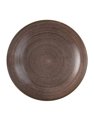 Bols Churchill Stonecast Raw Evolve Brown 248mm - Lot de 12